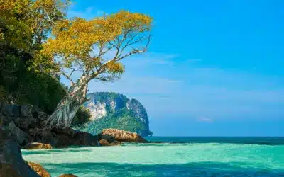 Vakantie Zuid Thailand