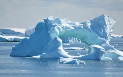 Groepsrondreis Antarctica, S. Georgia en de Poolcirkel
