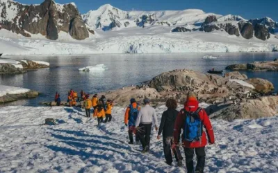 Groepsrondreis Antarctica en South Georgia – pinguinsafari